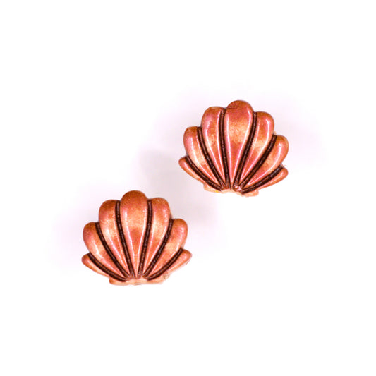 Seashell Studs